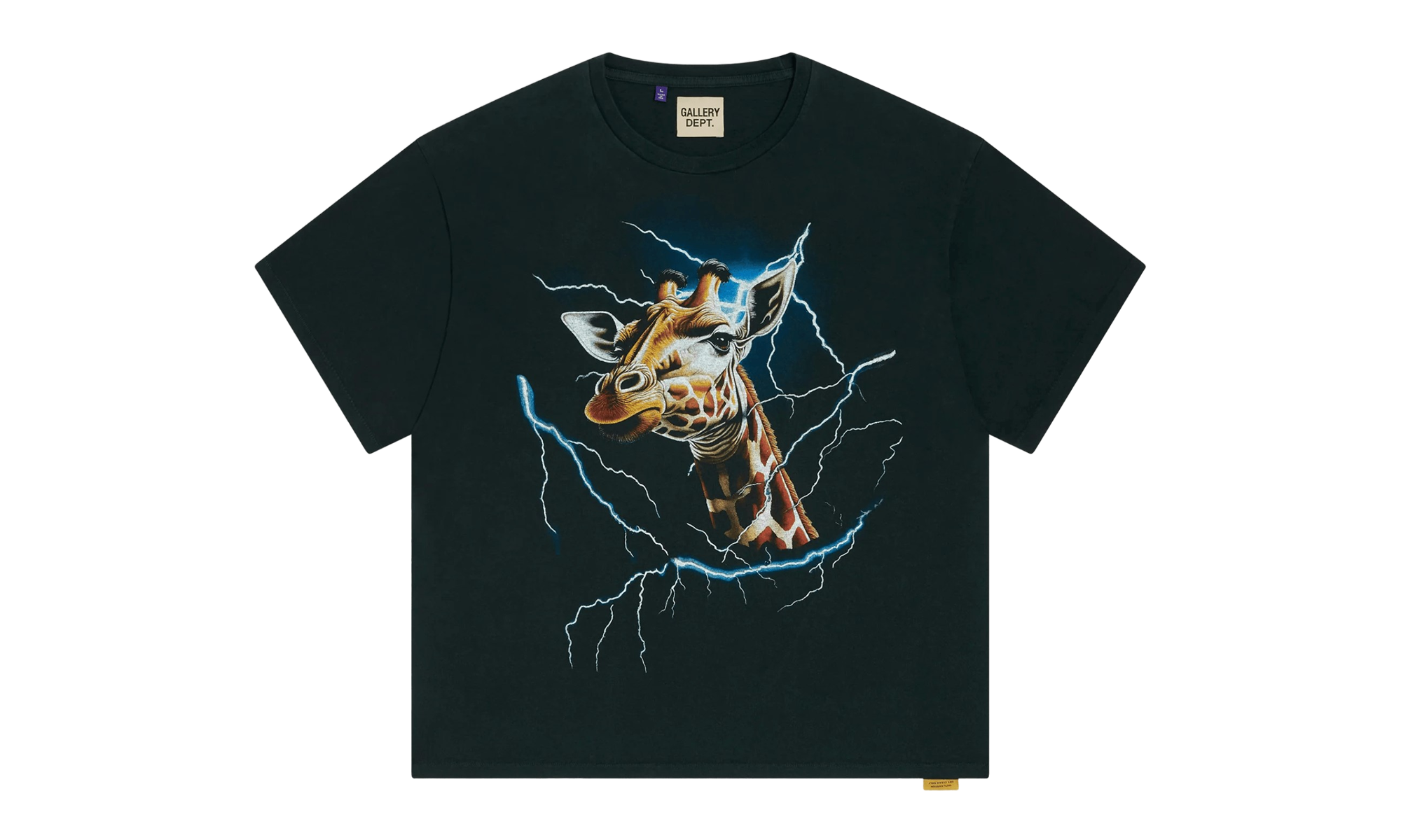 Theme Park Short Sleeve Tee Shirt "Black Blue Multi" GD105