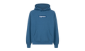 Box Logo Hooded Sweatshirt "FW23" SU100181