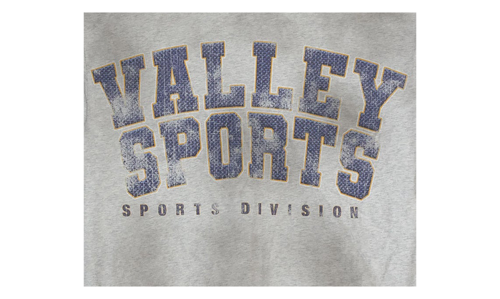 Valley Sports Division Tee "Grey" VAL144