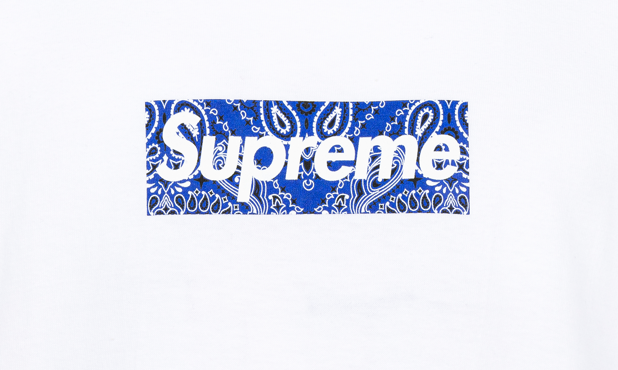 Bandana Box Logo Tee "FW19" SU8604