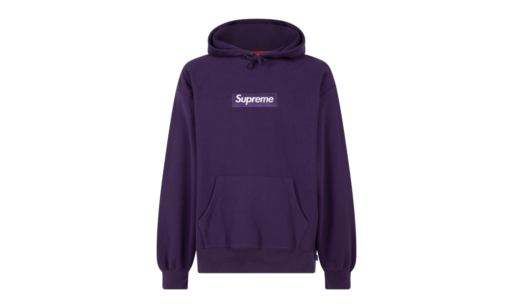 Box Logo Hooded Sweatshirt "FW23" SU100178