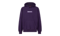 Box Logo Hooded Sweatshirt "FW23" SU100178
