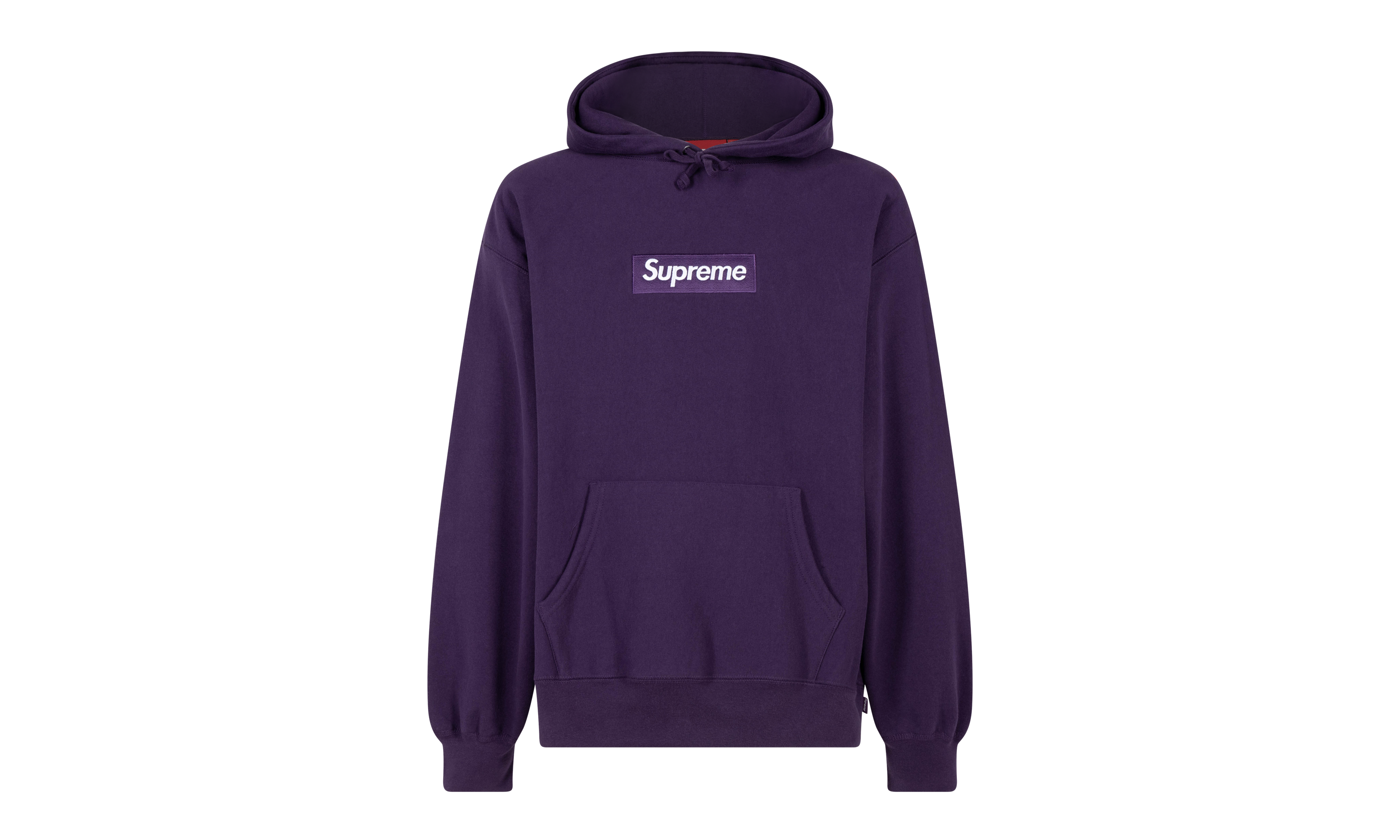 Box Logo Hooded Sweatshirt "FW23" SU100178