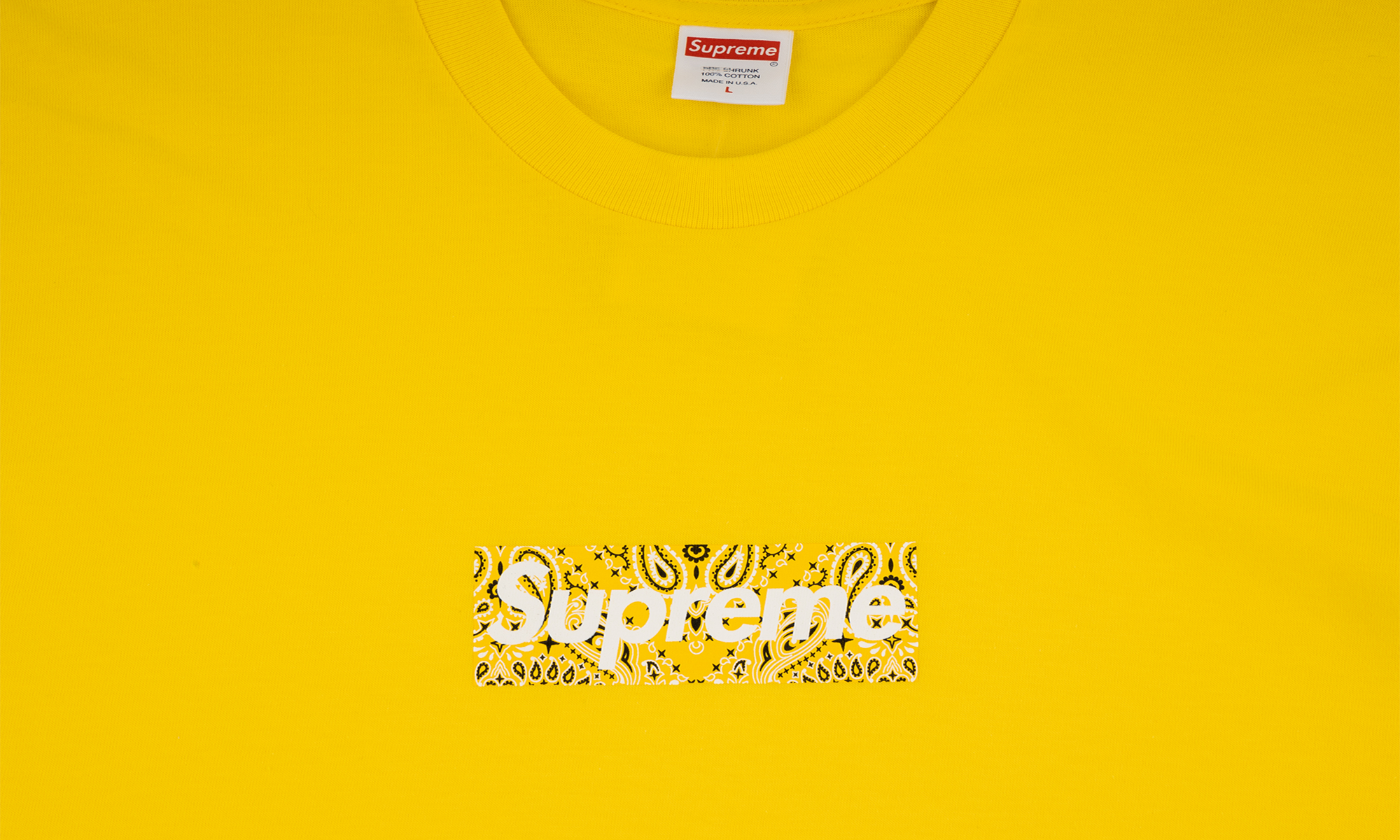 Bandana Box Logo Tee "FW19" SU9346