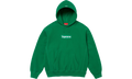 Box Logo Hooded Sweatshirt "FW24 Green" SU933