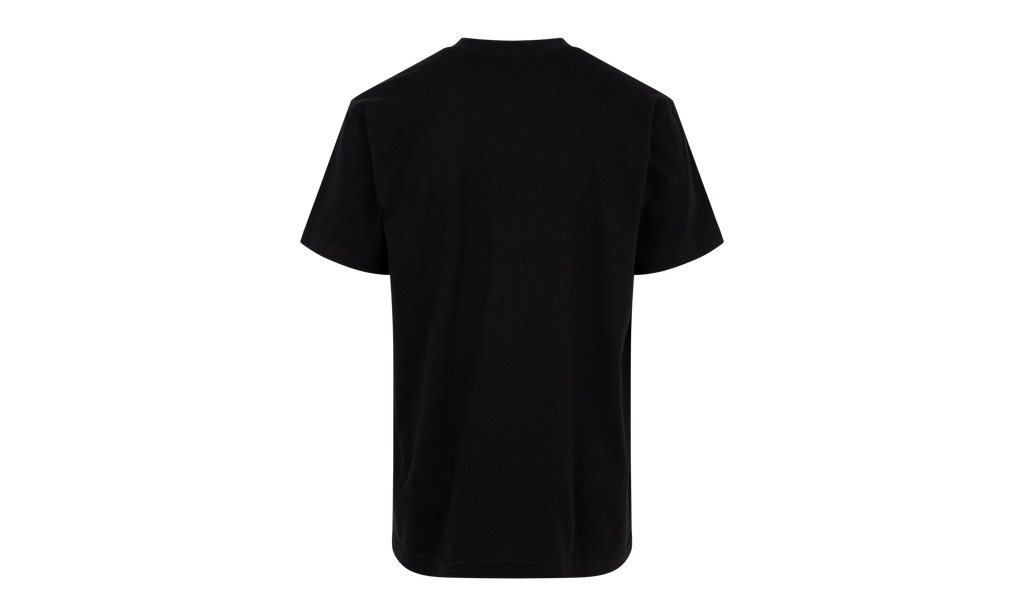 Emilio Pucci Box Logo Tee "SS21" SU10595