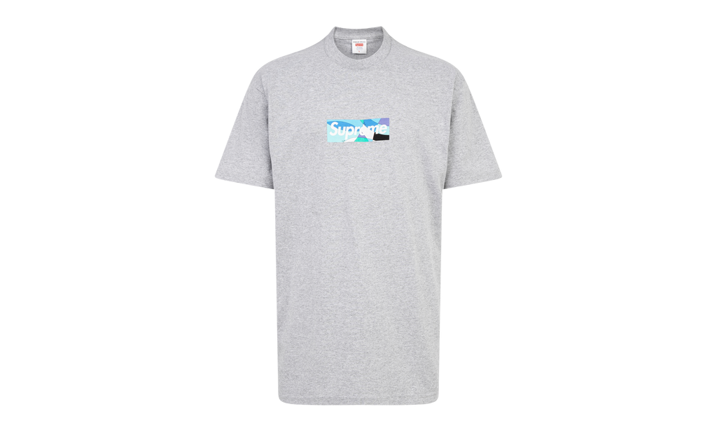 Emilio Pucci Box Logo Tee "SS21" SU10599