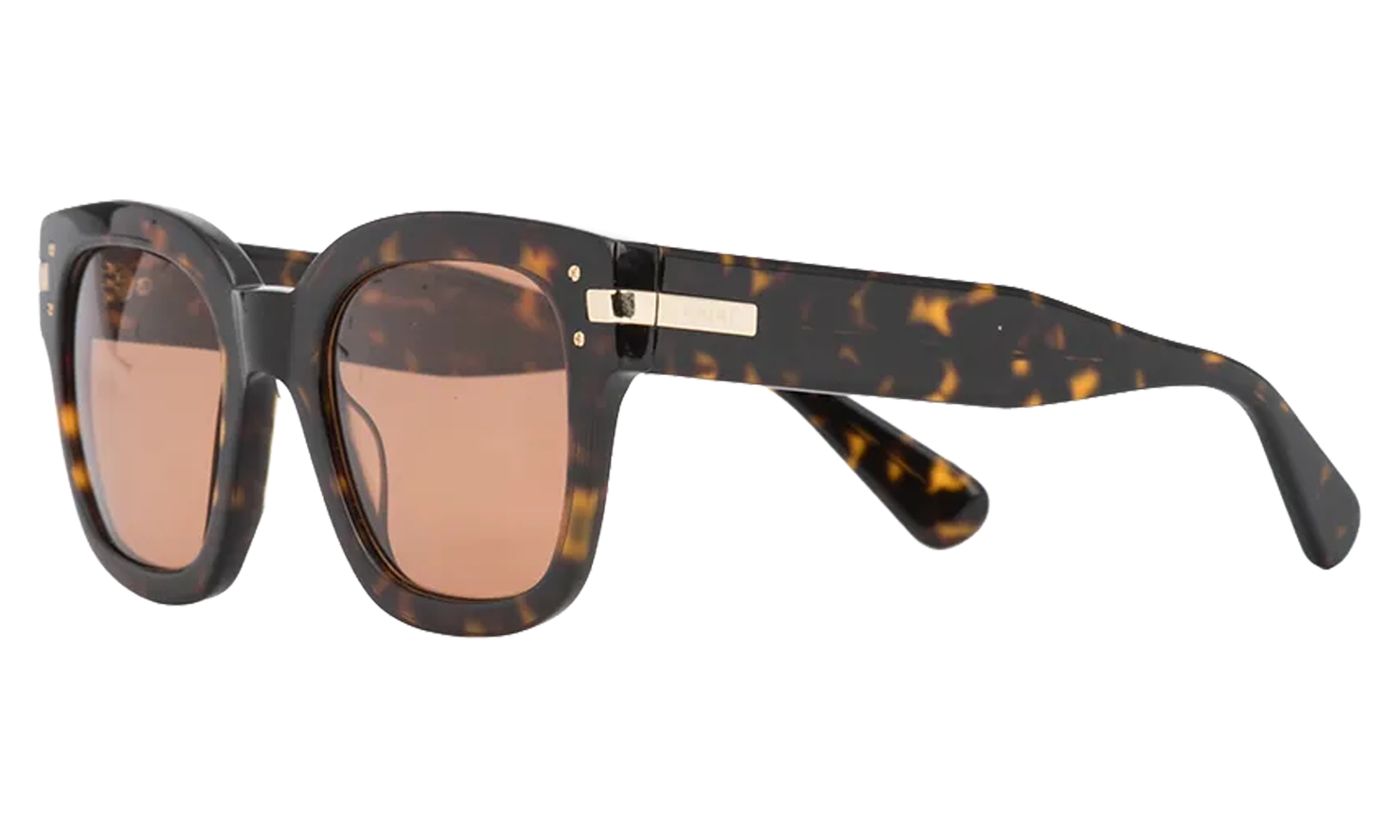 Classic Logo Sunglasses "Brown / Brown / Gold" XA41763AC BBG