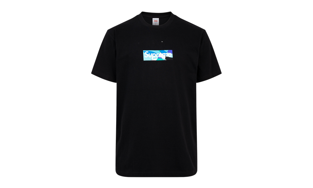 Emilio Pucci Box Logo Tee "SS21" SU10595