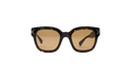Classic Logo Sunglasses "Brown" XA41763AC_Tortoise/Brown