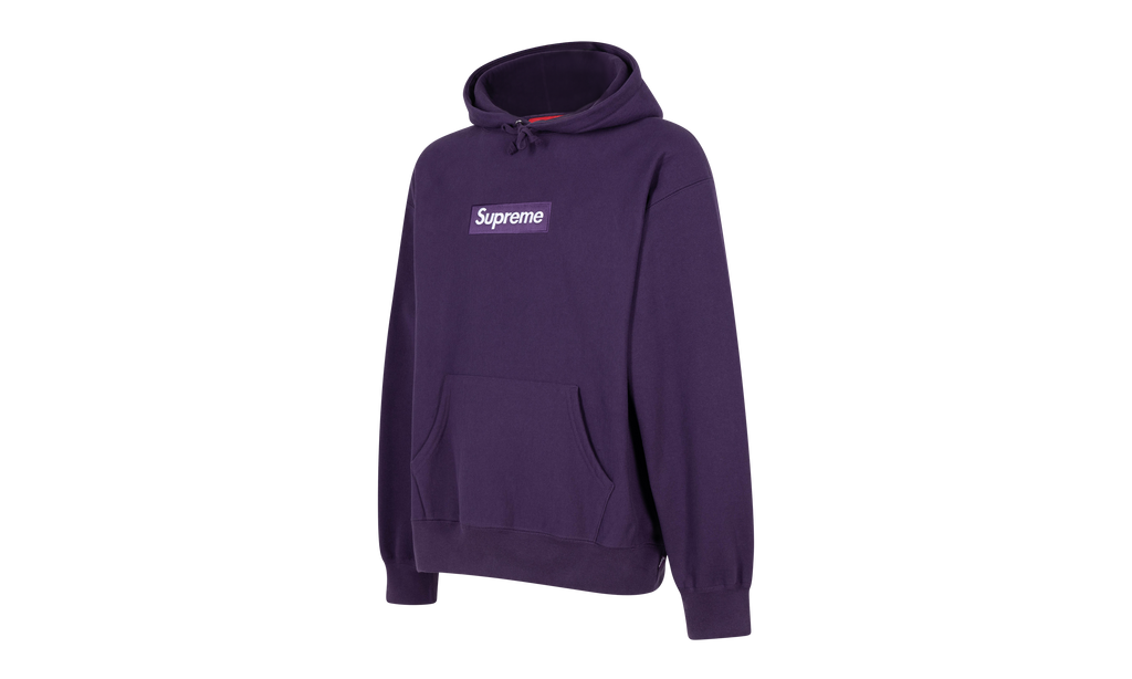 Box Logo Hooded Sweatshirt "FW23" SU100178