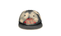 Art That Kills Trucker Hat "Sunfaded Black / Red" 294TYBD7