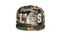 OG Patch Fitted "Camo" HSR076