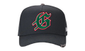 Insignia Hat "Black Green" GS190