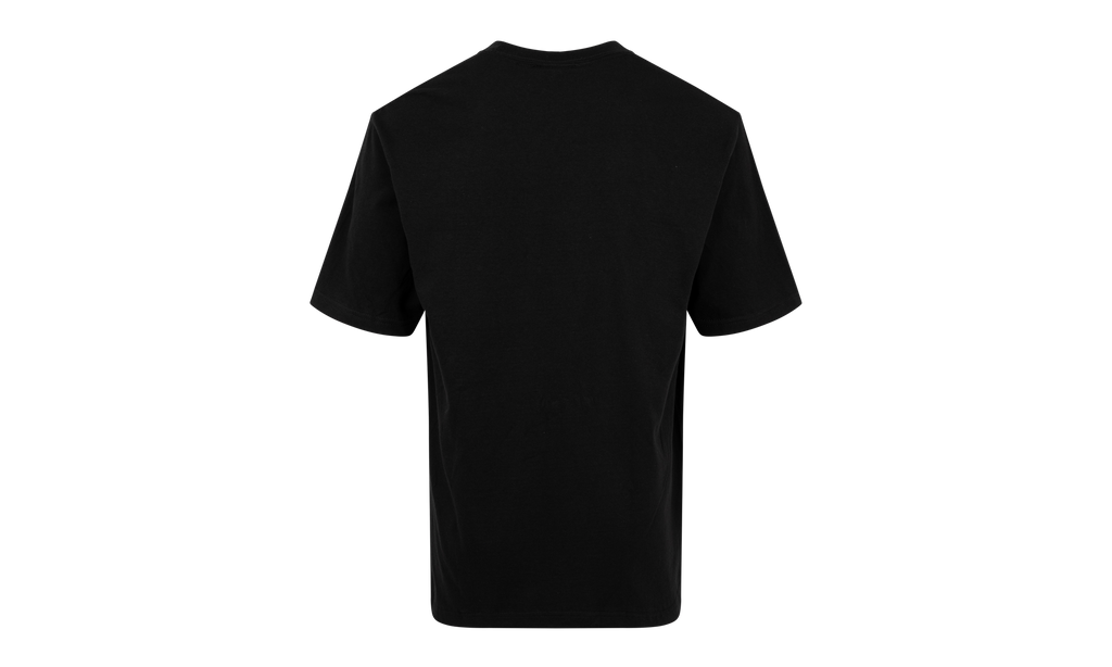 Emilio Pucci Box Logo Tee "SS21" SU10594