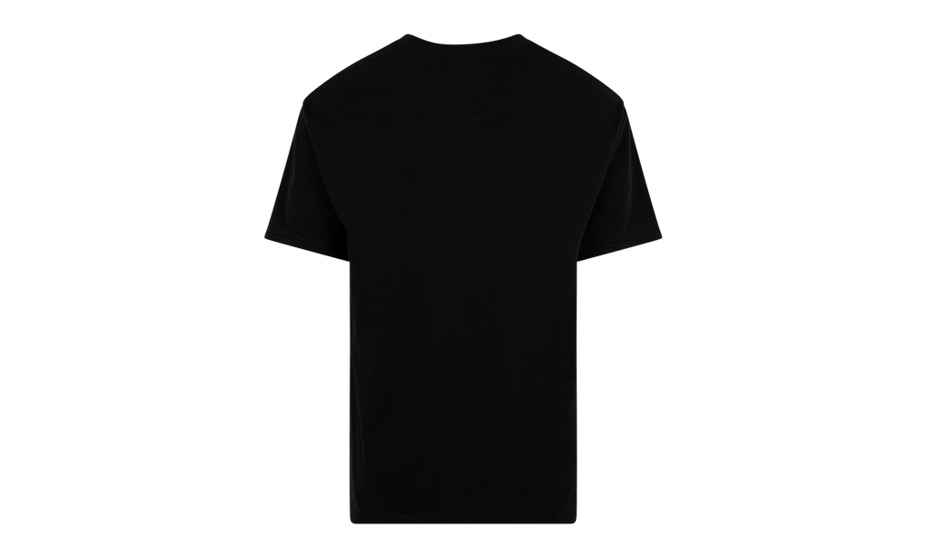 Emilio Pucci Box Logo Tee "SS21" SU10603