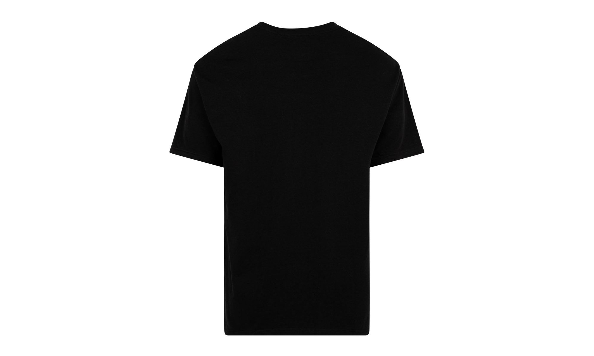 Emilio Pucci Box Logo Tee "SS21" SU10603