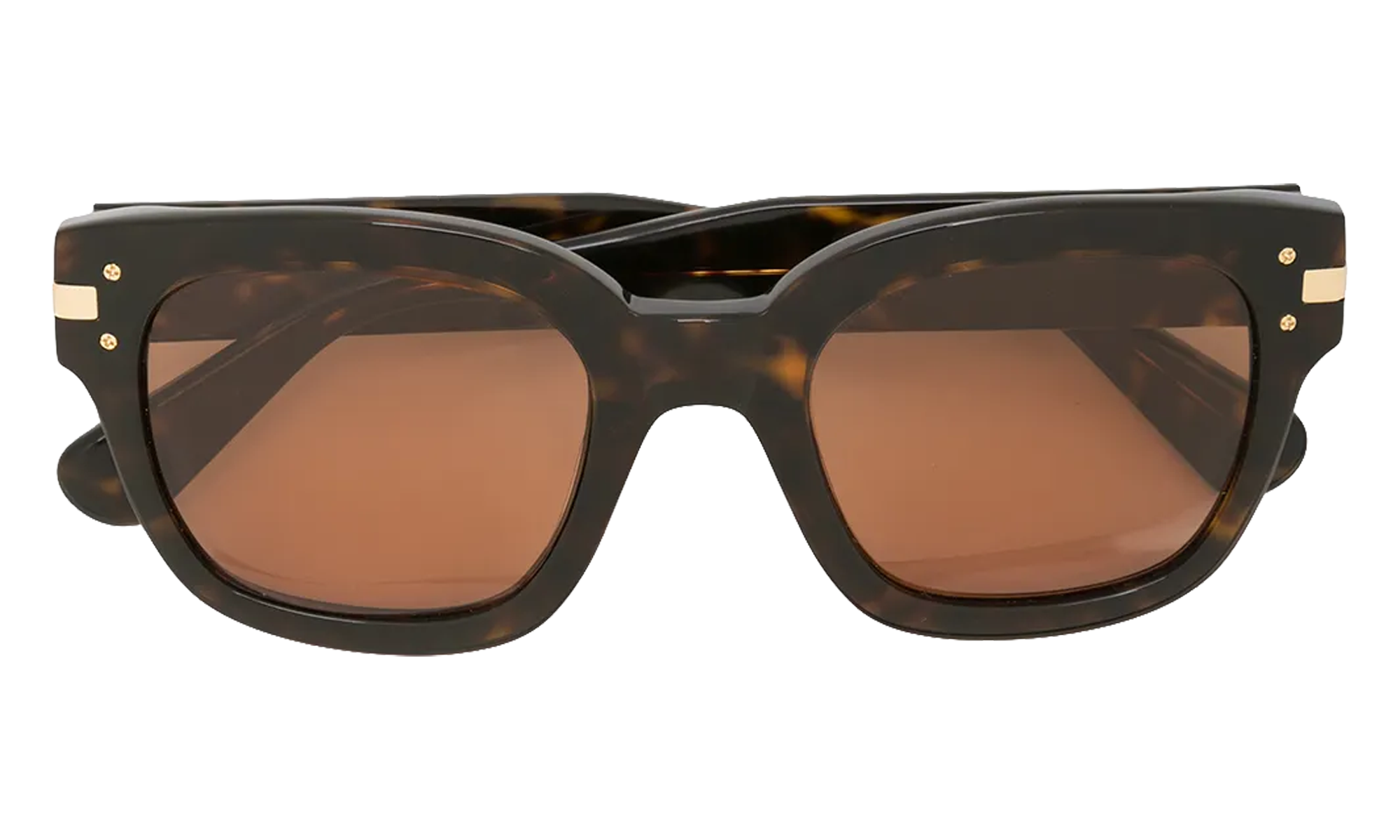 Classic Logo Sunglasses "Brown / Brown / Gold" XA41763AC BBG