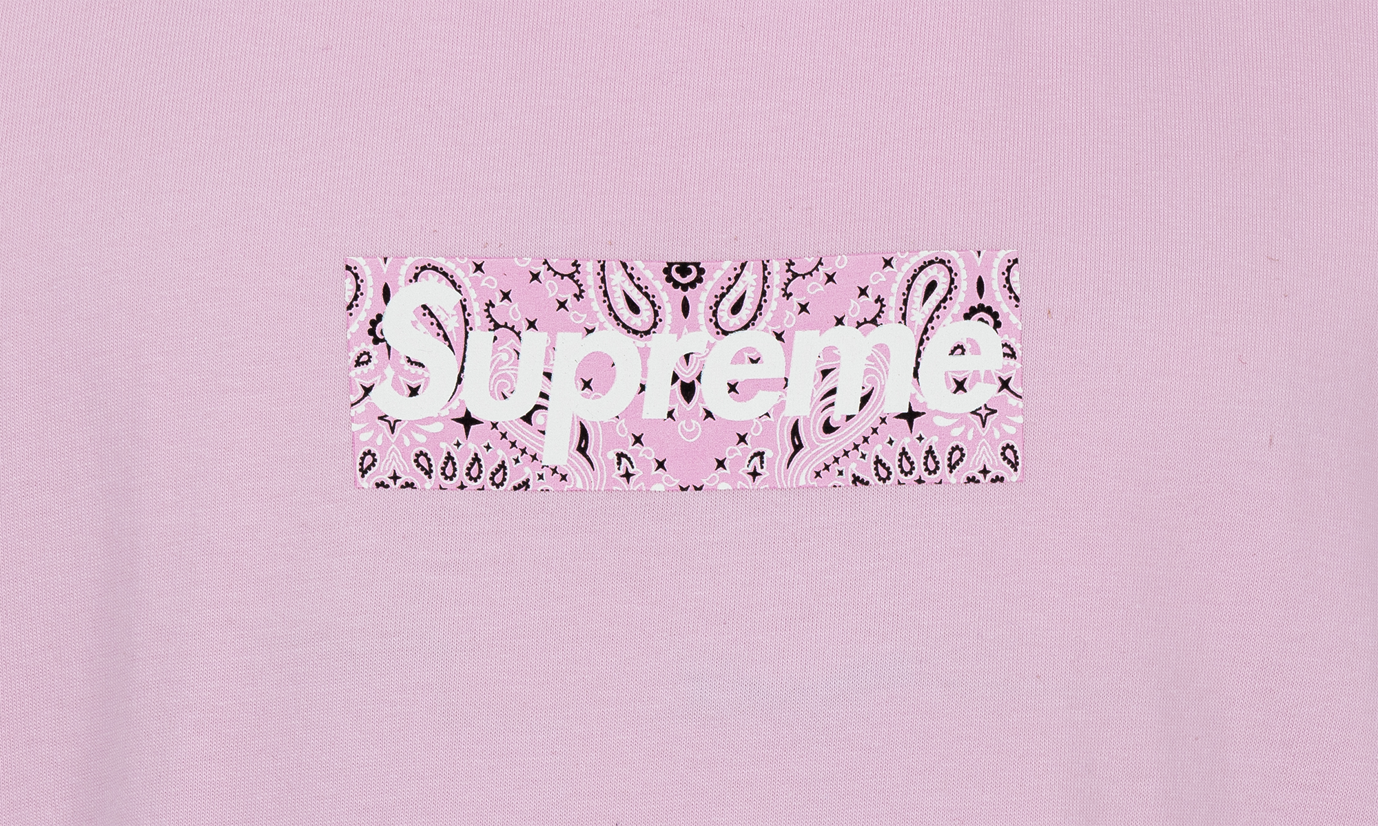 Bandana Box Logo Tee "FW19" SU8605